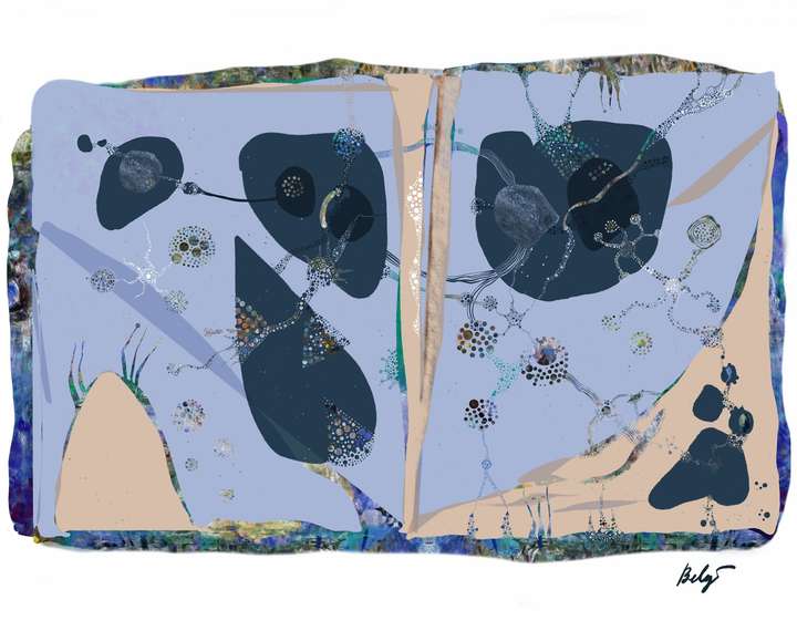 Galaxies On The Night Before Monday 4