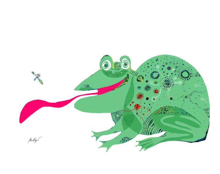 Speckled Frog Hunting