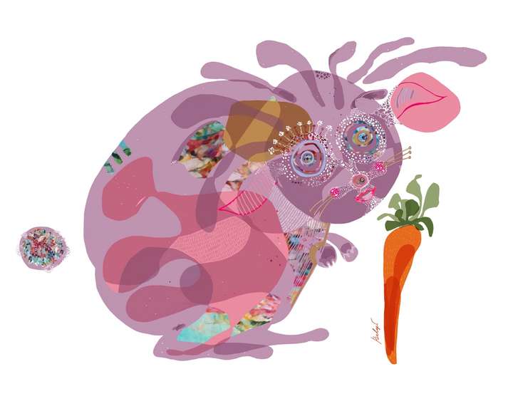 The Fantastic Pink Bunny Monster with A Carrot