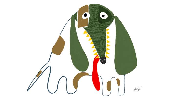 Dog