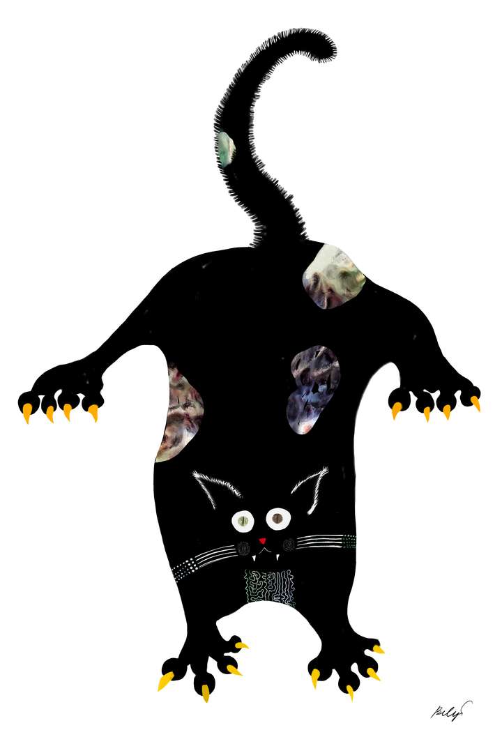 The Black Cat